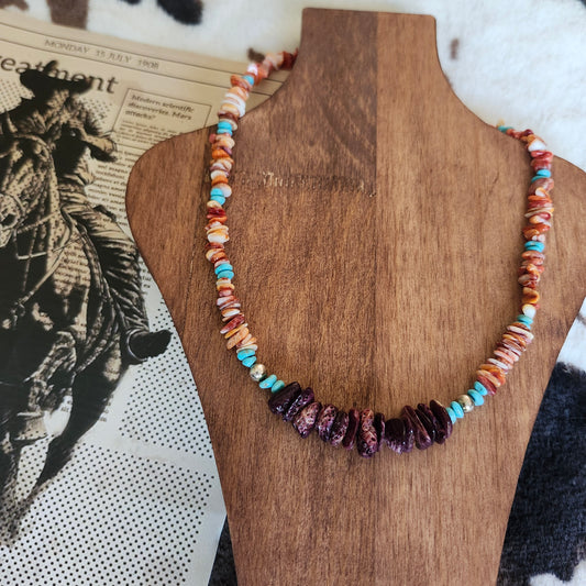 Collier Spiny Oyster