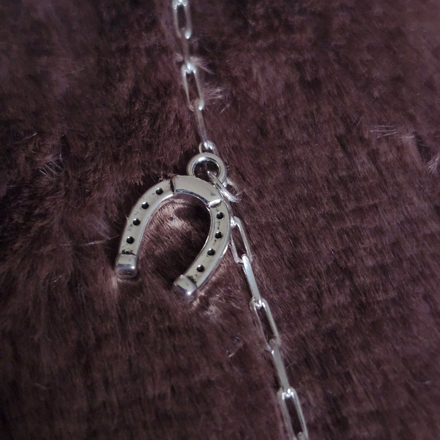 Western Charms Necklace