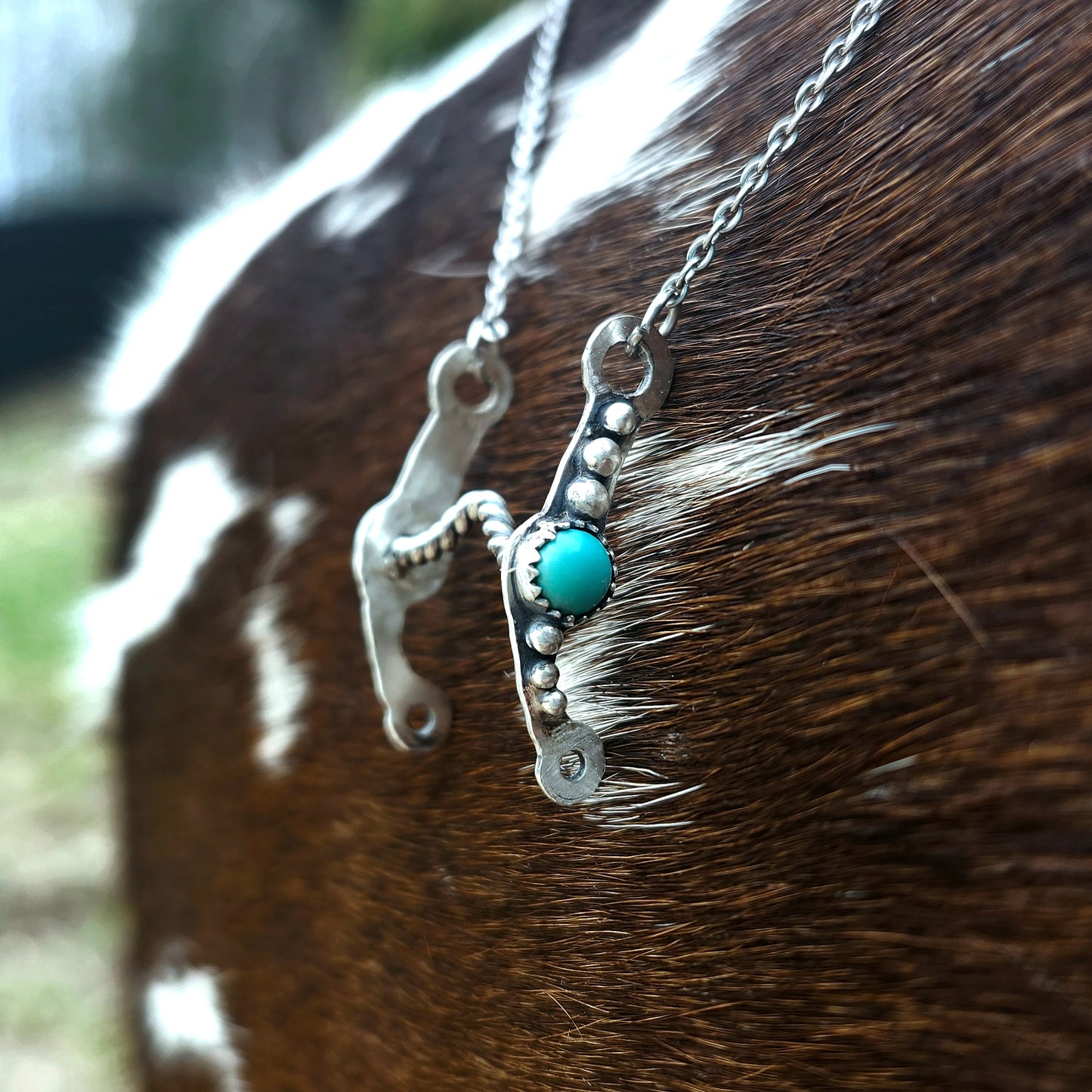 Colliers mors de cheval - Shank